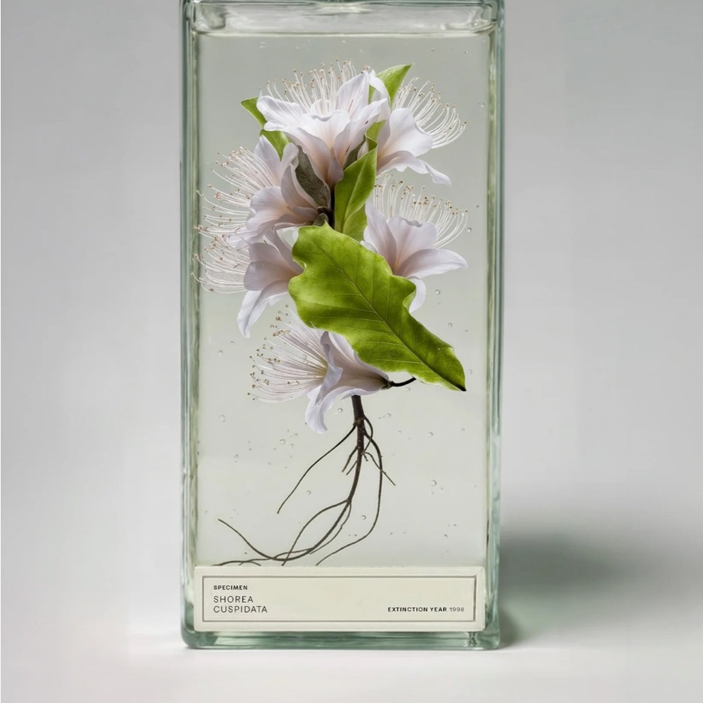 Future Society Eau de Parfum Floating Forest 50 ml - Picture 7 of 11